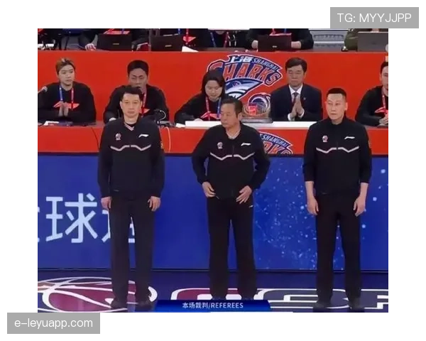 队员身份违规判罚为何经常引发争议与不同裁判尺度? 队员身份违规判罚为何经常引发争议与不同裁判尺度?